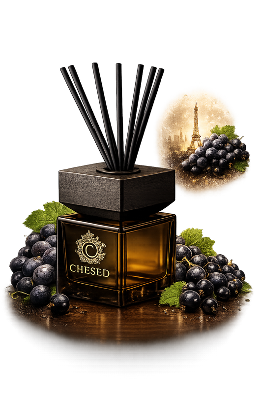 VONNÝ DIFŮZÉR - CHESED (BLACK BERRIES AND PARIS)